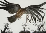 Edgar Allen Poe Raven Book cover